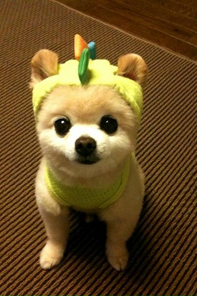 №85, Валентина Нугуманова, Уфа №85, Валентина Нугуманова, Уфа