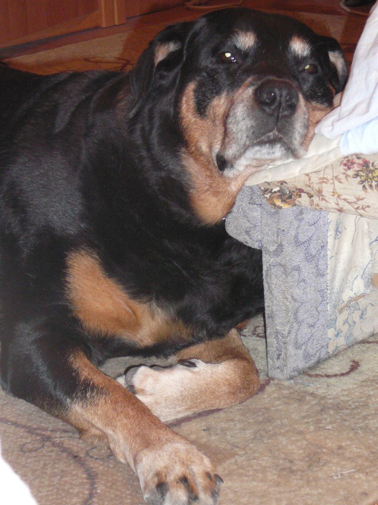 Рома Васильев | Санкт-Петербург