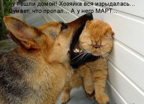 Марина Зименкова | Сергиев Посад