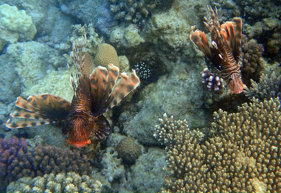 Наталья Денисова | Москва