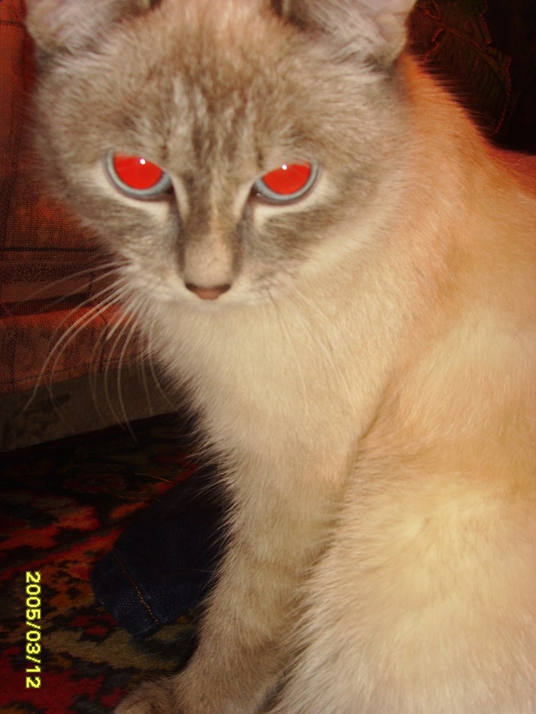 Леночка Милютина | Красноярск