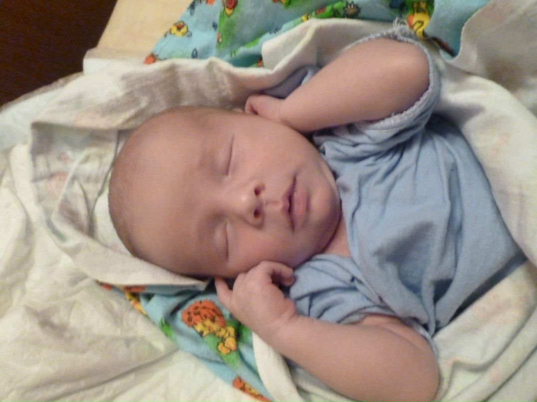 Наталья Ширяева | 