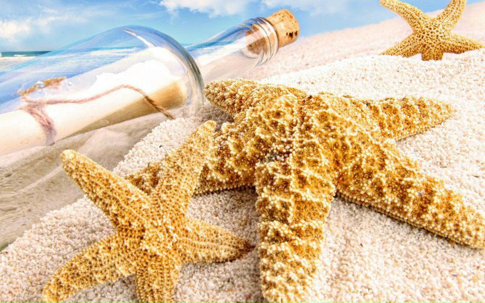 Елена Комиссарова | Екатеринбург