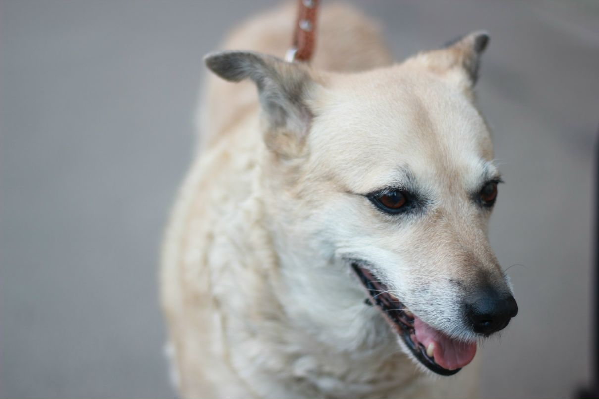 Феня Оскоцкая | Москва