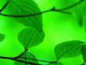 Юля Романенко | Кропивницкий / Кировоград