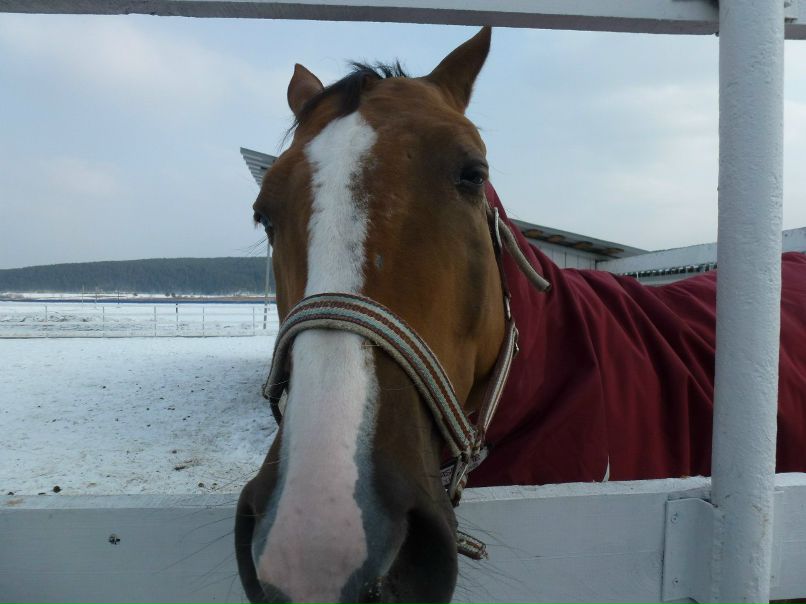 Павел Чернятьев | Екатеринбург