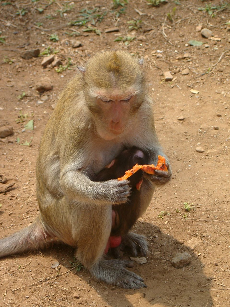 Марина Листратова | Санкт-Петербург
