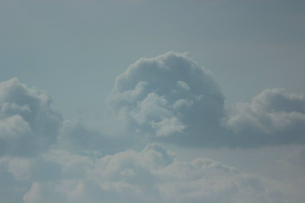 Виталий Рыбакин | Санкт-Петербург