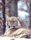 Фотография Старовойтовой Кристины