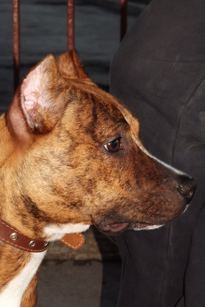 Ярослава Речкина | Кропивницкий / Кировоград