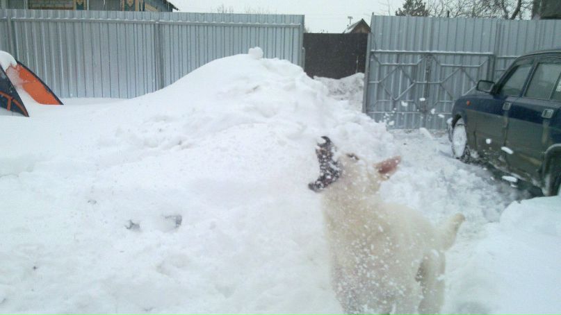 Михаил Ревнивых | Тюмень