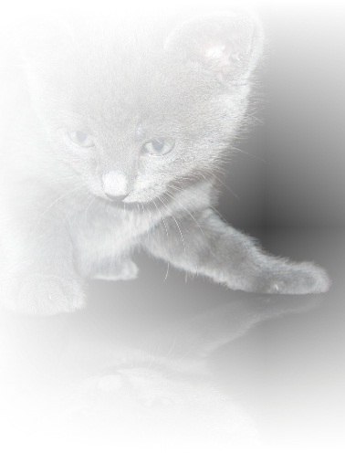 Роман Бугров | Богородск