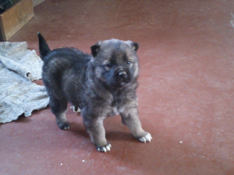 Александр Бугуртов | Стрежевой