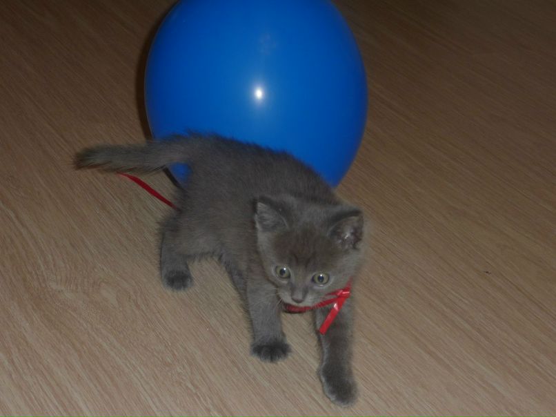 Екатерина Тимофеева | Краснодар