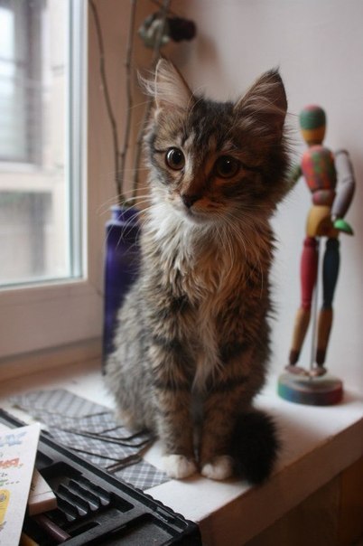 Анна Прикацина | Москва