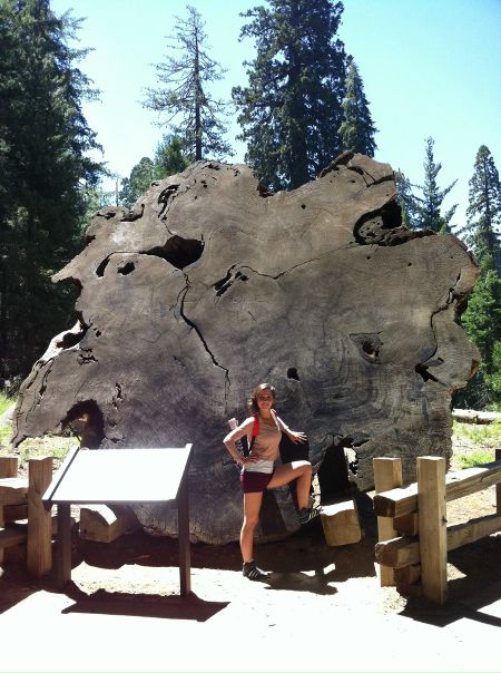 №88, Таня Рыжова №88, Таня Рыжова