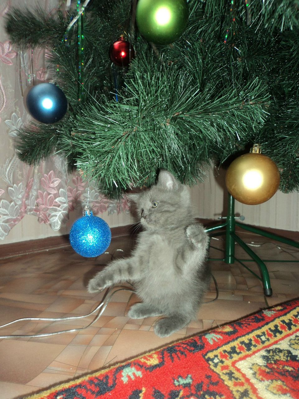 Ильсиночка Замалетдинова | Зеленодольск