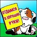 №3, Вовка Ермолаев, Днепр (Днепропетровск) №3, Вовка Ермолаев, Днепр (Днепропетровск)