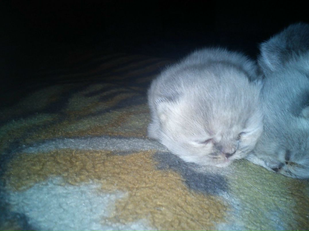 Наташа Кузнецова | 