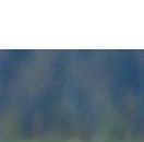 Анастасия Подвиженко | Москва