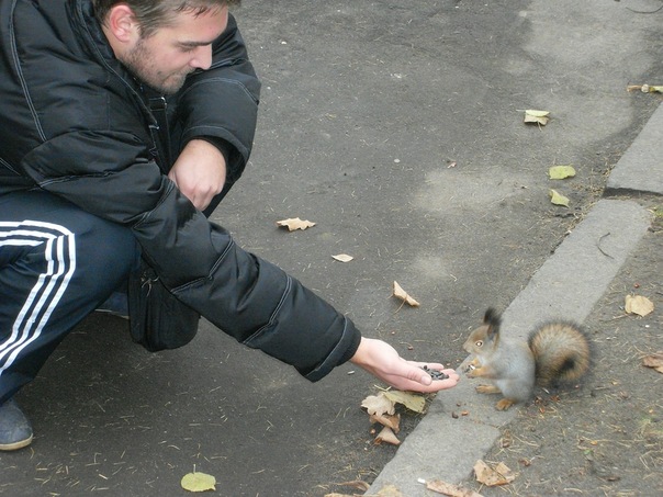 №104, Дмитрий Богулев, 40 лет, Москва №104, Дмитрий Богулев, 40 лет, Москва