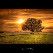 Алиса Савдиярова | Нижнекамск