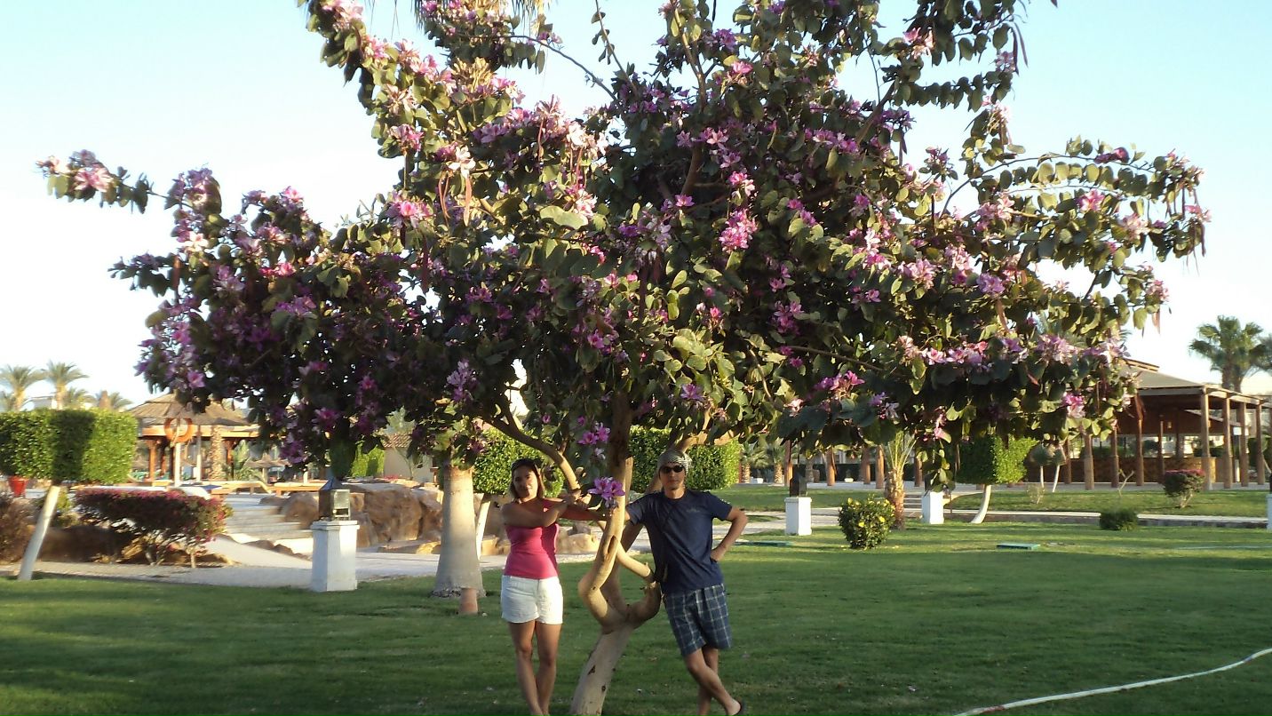 Ирина Лашина | Гатчина