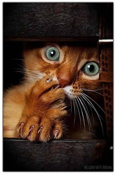 Иван Ломаков Philosopher | Харьков