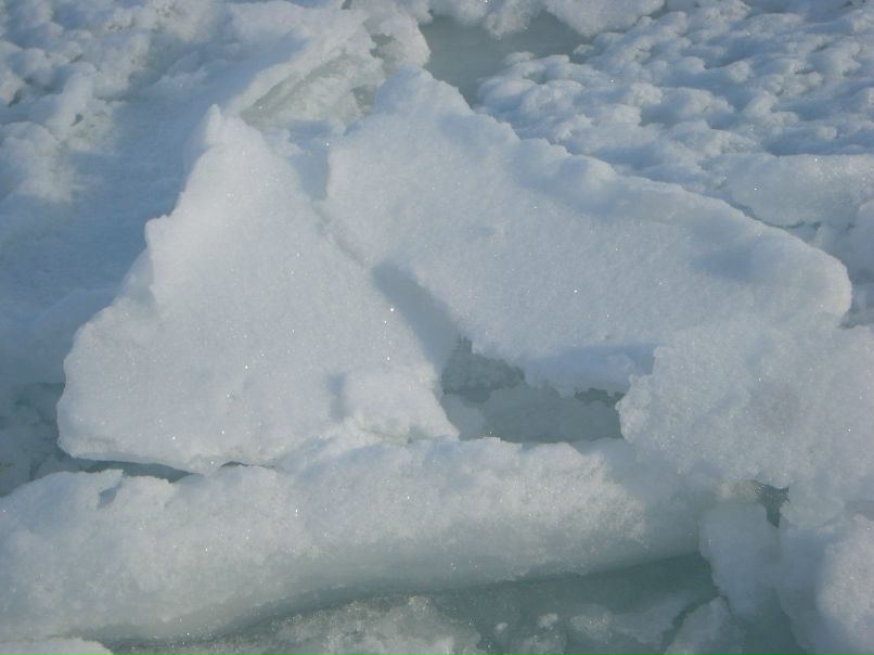 Леша Шевченко BMW™ | Одесса