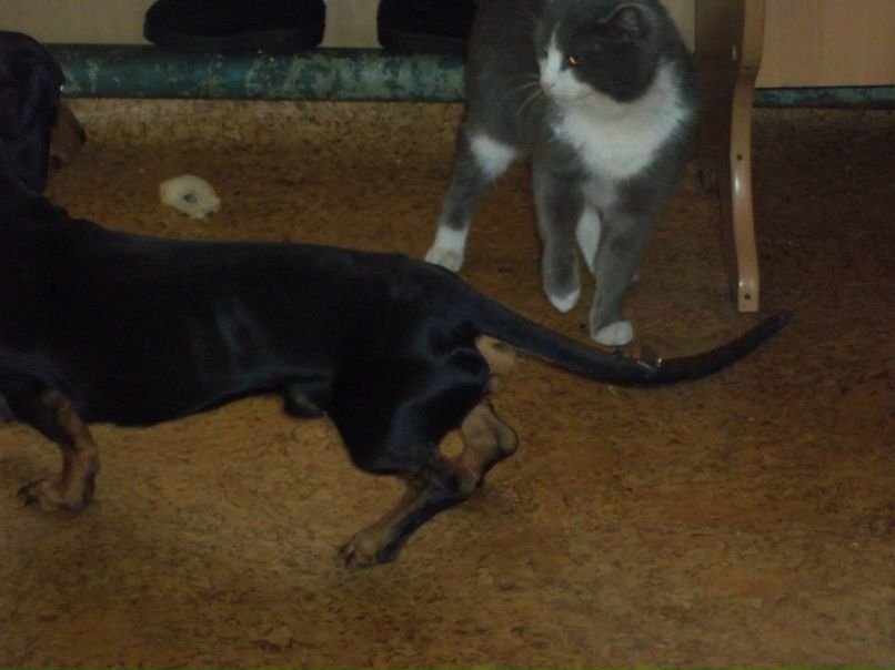 Надежда Сукачёва | Пестравка