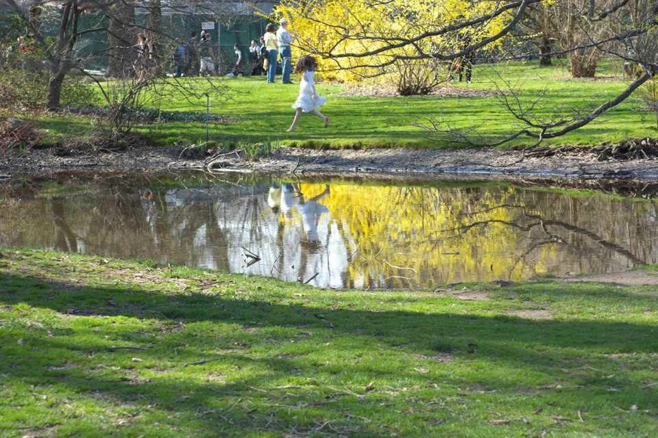 Василий Бессонов | New York City