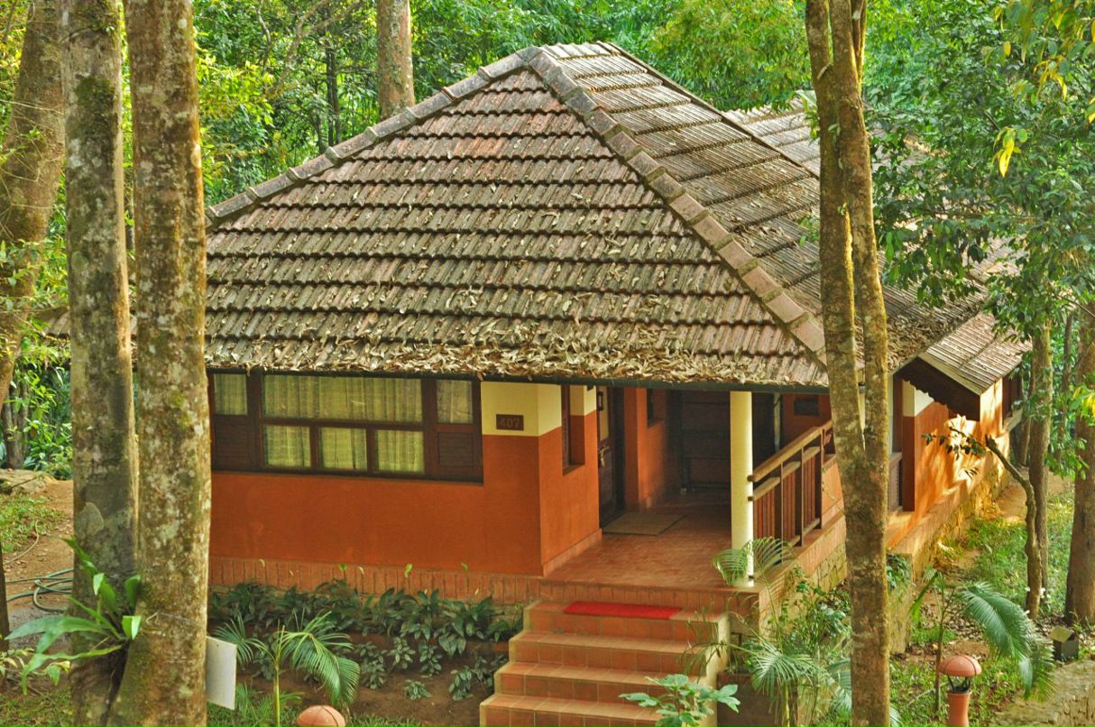 Юлия Гопша | 