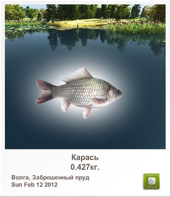 Андрей Степанов | Иркутский