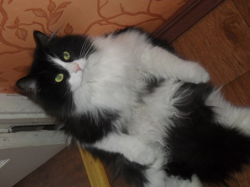 Марина Михайлова | Санкт-Петербург