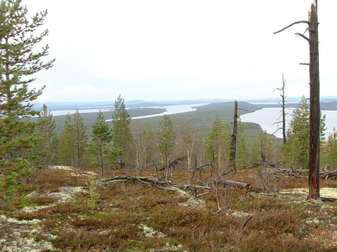 Екатерина Захлевных | 