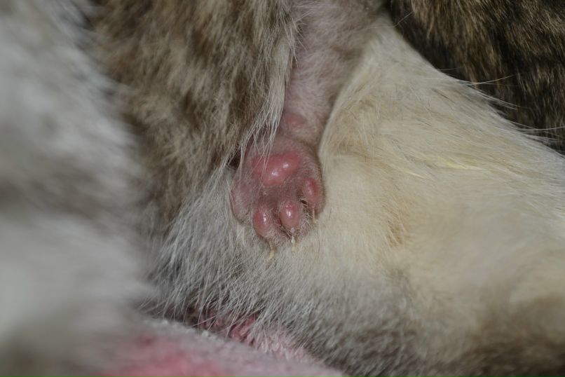 Яна Лапочкина | Воронеж