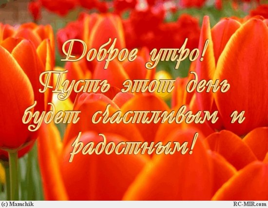 №160, Евгения Архипова, Кингисепп №160, Евгения Архипова, Кингисепп