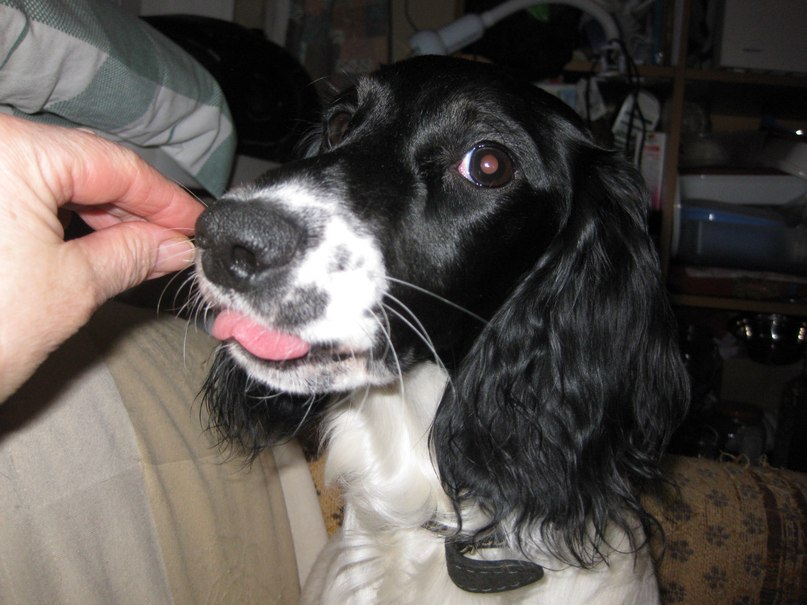 Елена Елизарова | Санкт-Петербург