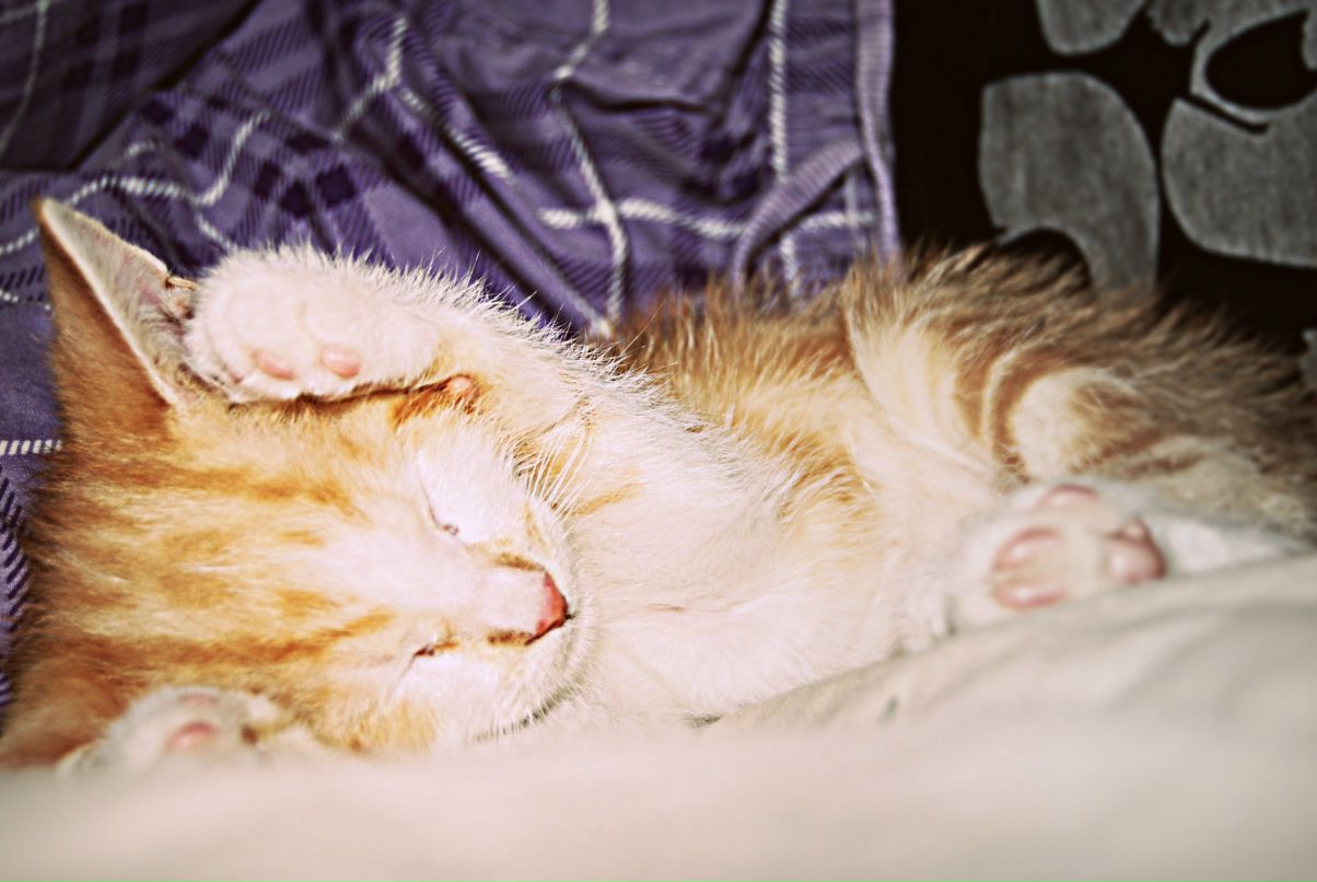 Ірка Білюк ★Мозга.net★ | New York