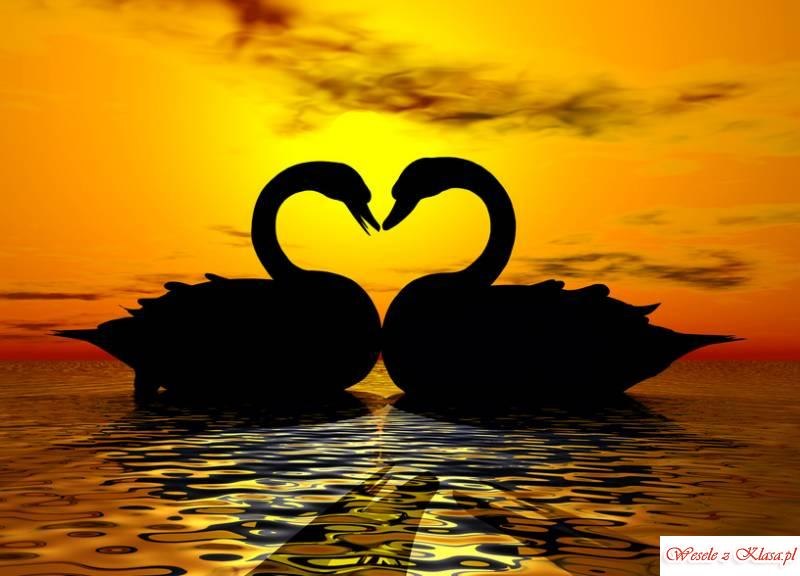 Оксана Савута | Харьков