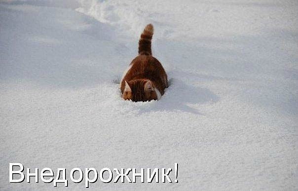 Kristinka Savlepova ツVyacheslavovna | Киев