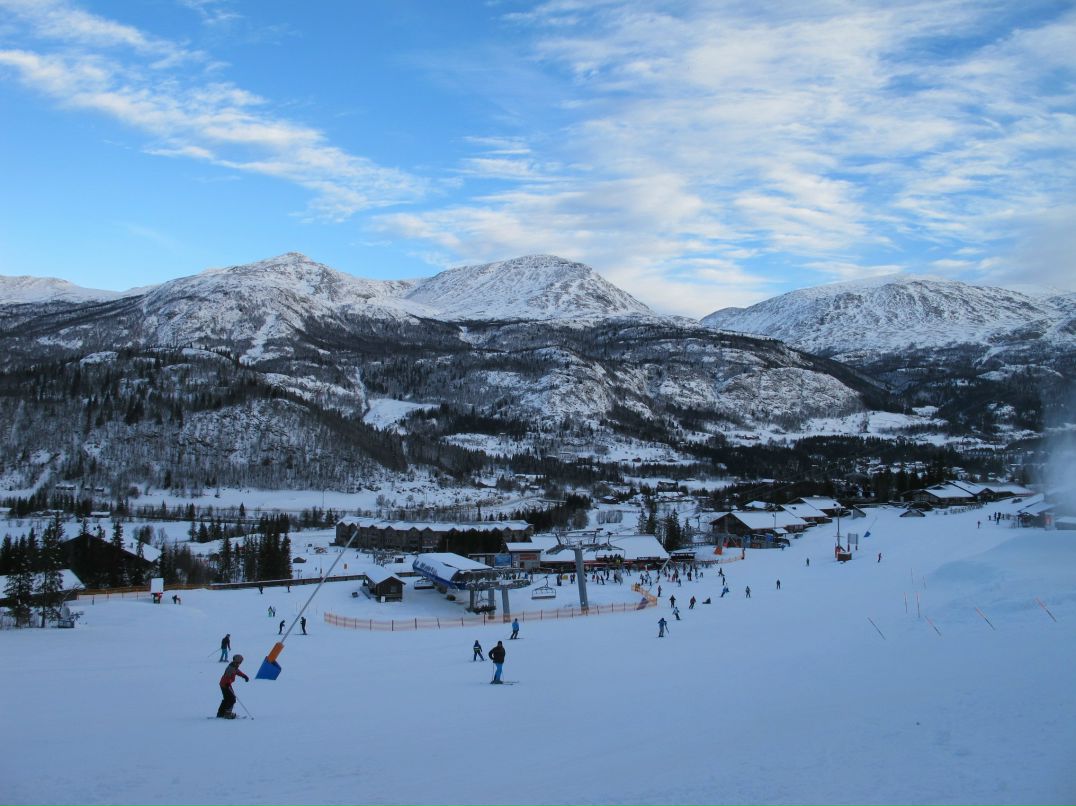 Елена Богданова DARA | Санкт-Петербург