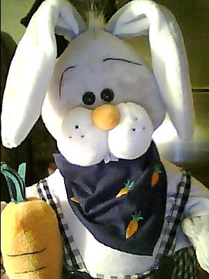 Жанна Брой-Каррэ | Санкт-Петербург