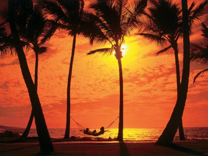 Иван Тарабаев Sweet life | 