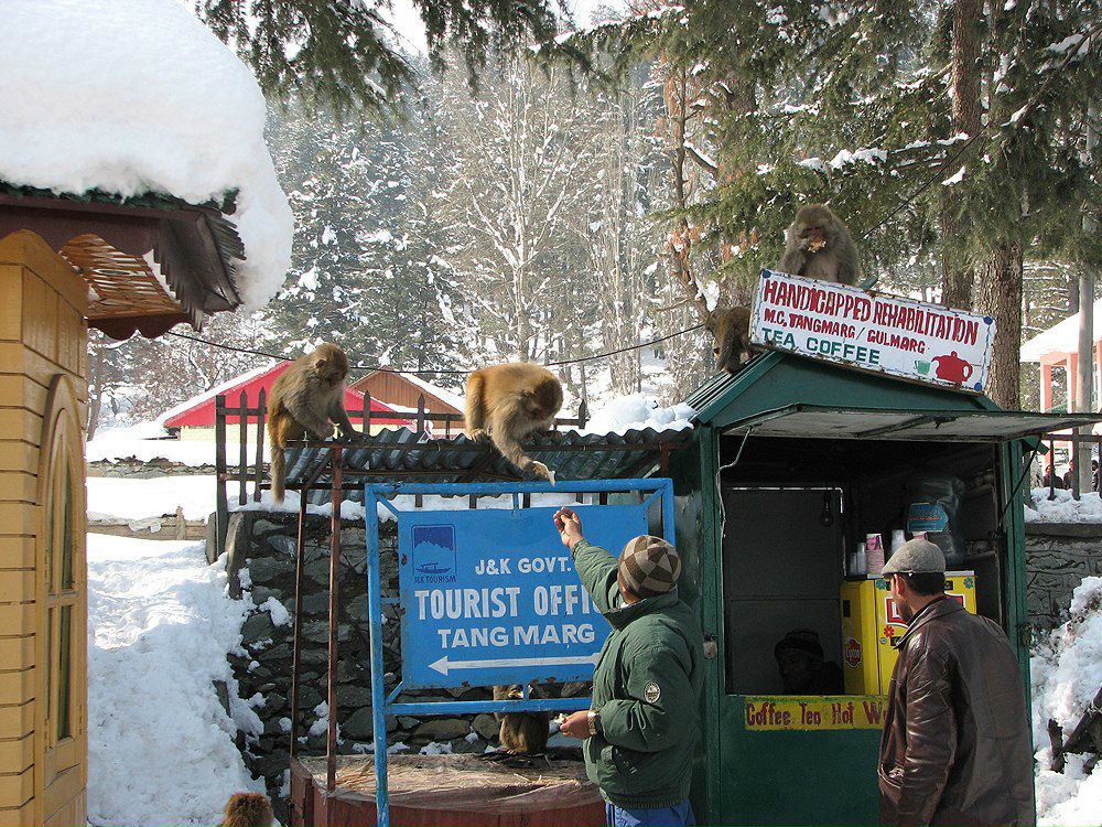 Максим Бугера | Киев