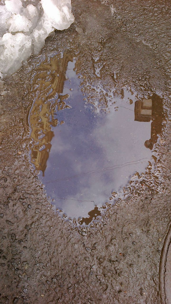 Лиза Ильина | Санкт-Петербург