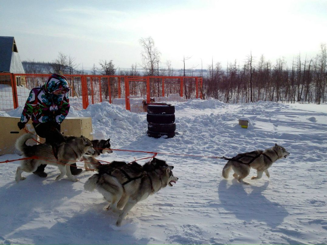 Артем Шляхтин xodzor | Москва