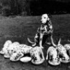 Аватар: Люба Маскалева