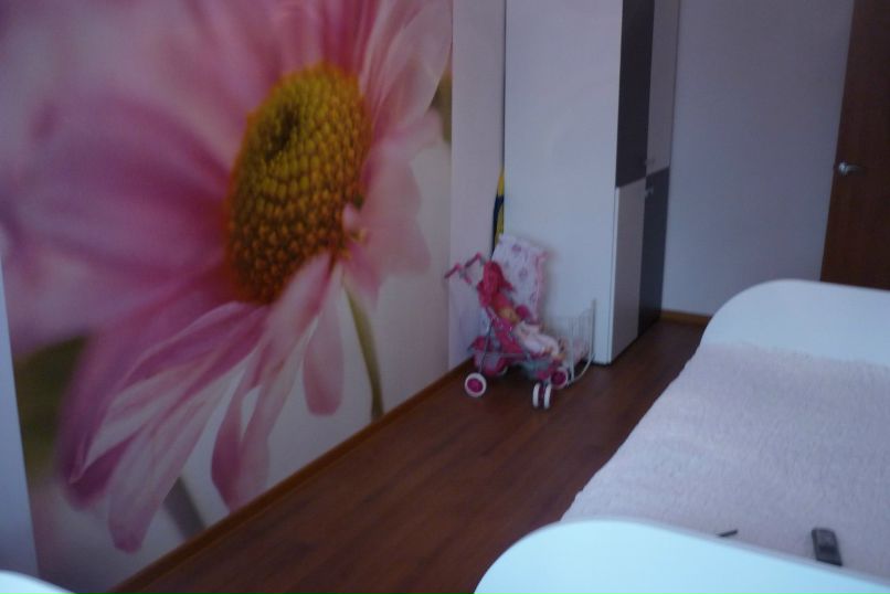 Роман Романенков | Смоленск