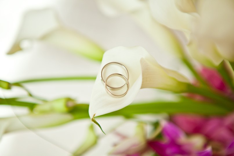 Мария Мария | Москва